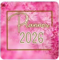 Planejamento Financeiro 2026/2027